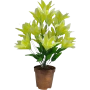 Arranjo de Lírios - 60cm