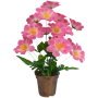 Arranjo de Margaridas - 60cm