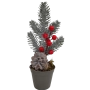 Arranjo de Natal c\ Vaso de Suculenta 25cm