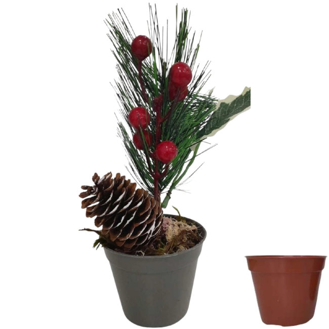 Arranjo de Natal c\ Vaso de Suculenta 25cm