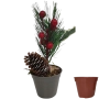Arranjo de Natal c\ Vaso de Suculenta 25cm