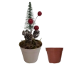 Arranjo de Natal c\ Vaso de Suculenta 27cm