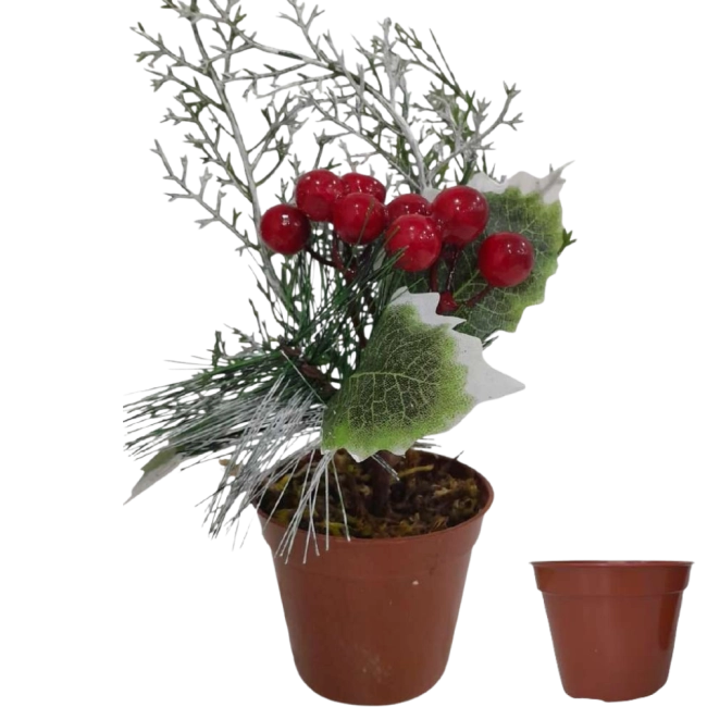 Arranjo de Natal c\ Vaso de Suculenta 30cm