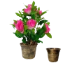 Arranjo de Rosas - Rosa c\ 10 Flores - 42cm