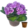 Arranjo de Violetas Vaso Plast- 15cm