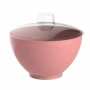 Bowl Plástico Multiuso Com Tampa 650 ml