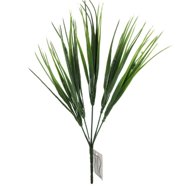 Capim Verde - 29cm