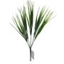Capim Verde - 29cm