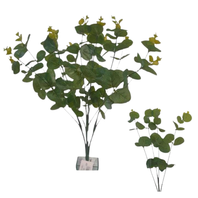 Eucalipto - 47cm