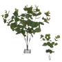 Eucalipto - 47cm