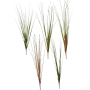 Galho de Capim dos Pampas - 55cm