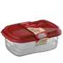 Kit 3 Container Freezer