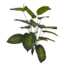 Mini Árvore Tropical - 65cm