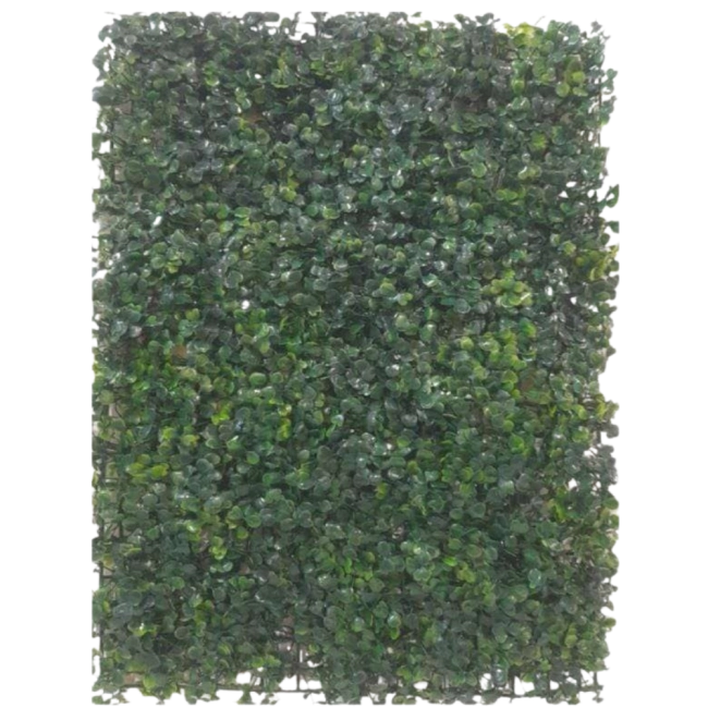 Placa de Grama (G) 40x60cm