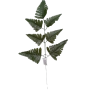 Renda Portuguesa - (G) 68cm