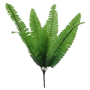 Samambaia - 50cm