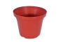 Vaso PL - 35 Color