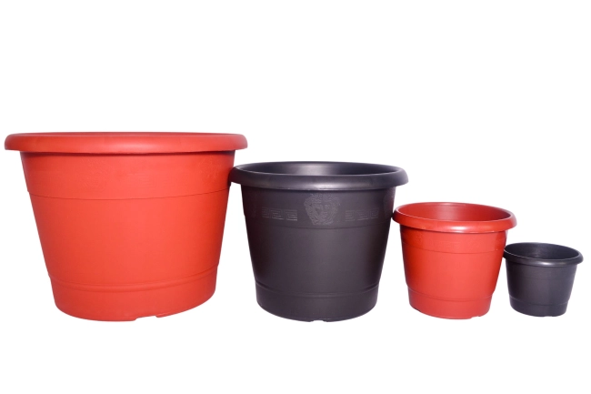 Vaso VB - 20 Com Borda - Color